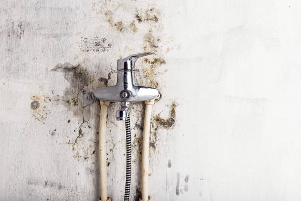 Best Local Mold Removal Service  in Milford City, CT