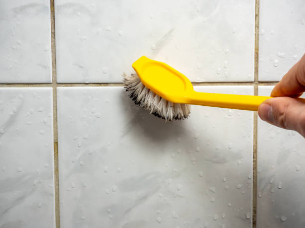 Best Same-Day Mold Removal  in Milford City, CT