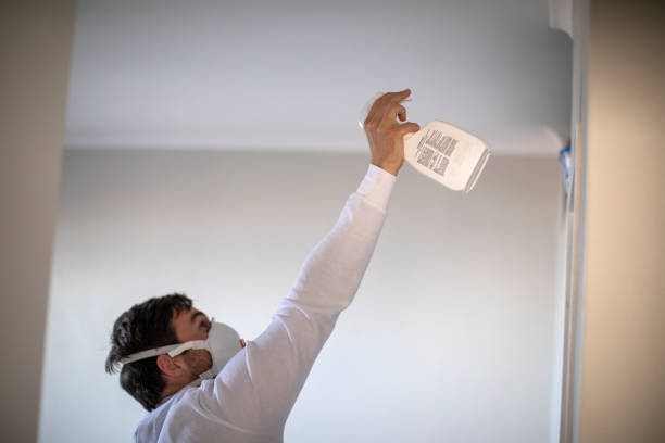Best Local Mold Removal Service  in Milford City, CT