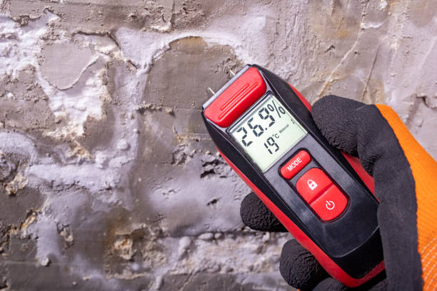 Mold Testing and Removal in Milford City, CT