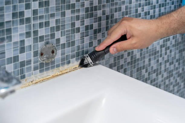 Best Residential Mold Removal  in Milford City, CT