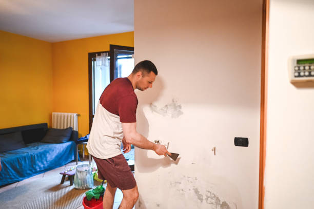 Professional Mold Removal in Milford City, CT