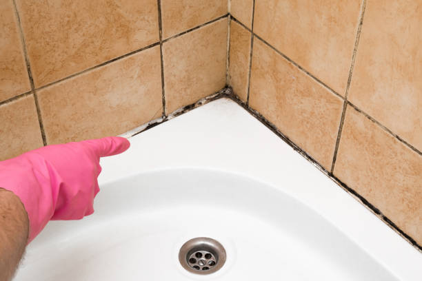 Best Office Mold Removal Services  in Milford City, CT